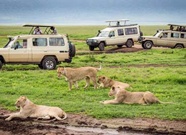 5 Day Safari Lake Manyara – Serengeti Plains – Ngorogoro Crater