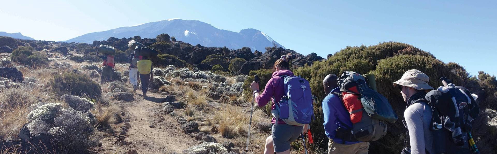 Kilimanjaro-Shira-route