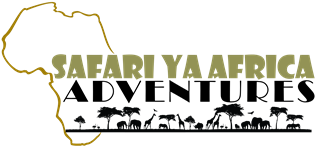 Safari ya Africa Adventures Ltd