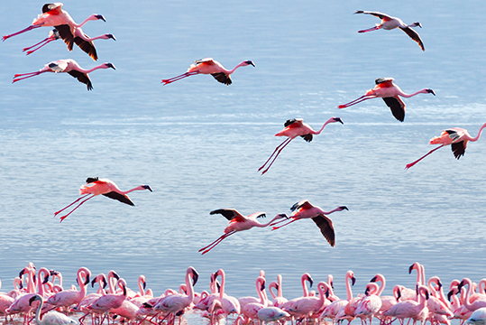 lake manyara