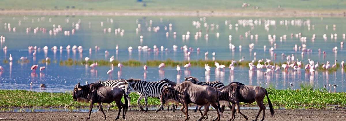 ngorongoro crater