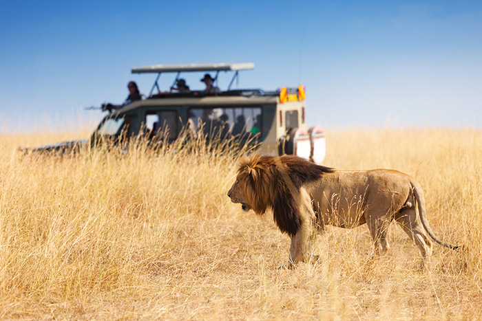 tanzania-multi-adventure-tour